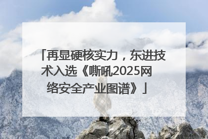 再显硬核实力，东进技术入选《嘶吼2025网络安全产业图谱》