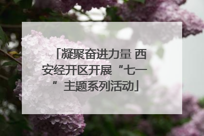 凝聚奋进力量 西安经开区开展“七一”主题系列活动