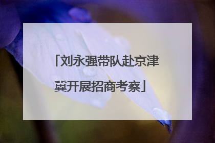 刘永强带队赴京津冀开展招商考察
