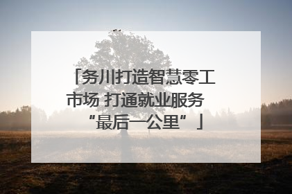 务川打造智慧零工市场 打通就业服务“最后一公里”