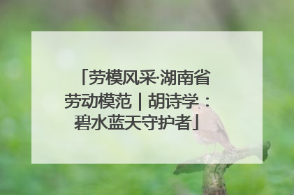 劳模风采·湖南省劳动模范｜胡诗学：碧水蓝天守护者