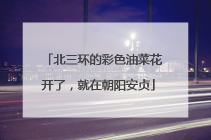 北三环的彩色油菜花开了，就在朝阳安贞