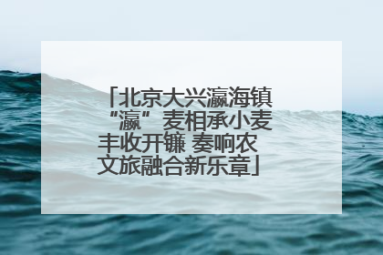北京大兴瀛海镇“瀛”麦相承小麦丰收开镰 奏响农文旅融合新乐章