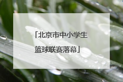 北京市中小学生篮球联赛落幕