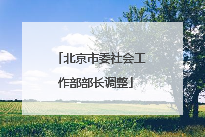 北京市委社会工作部部长调整