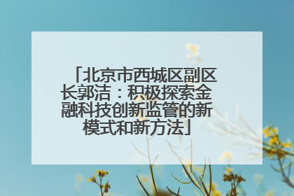 北京市西城区副区长郭洁：积极探索金融科技创新监管的新模式和新方法