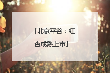 北京平谷：红杏成熟上市