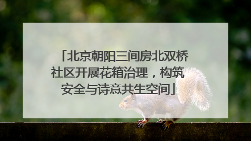 北京朝阳三间房北双桥社区开展花箱治理，构筑安全与诗意共生空间