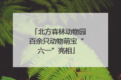 北方森林动物园百余只动物萌宝“六一”亮相