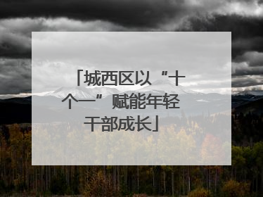 城西区以“十个一”赋能年轻干部成长