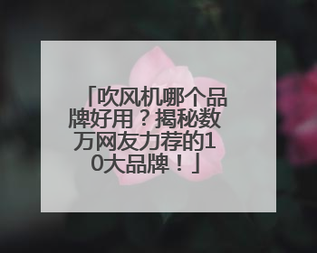 吹风机哪个品牌好用？揭秘数万网友力荐的10大品牌！