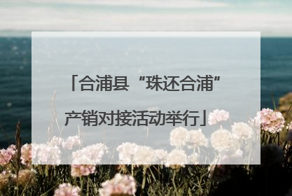 合浦县“珠还合浦”产销对接活动举行