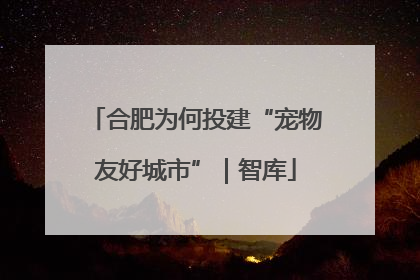 合肥为何投建“宠物友好城市”｜智库