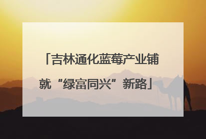 吉林通化蓝莓产业铺就“绿富同兴”新路