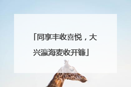 同享丰收喜悦，大兴瀛海麦收开镰