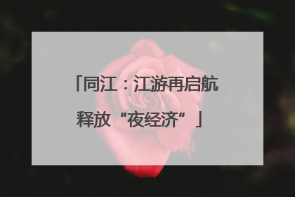 同江：江游再启航 释放“夜经济”
