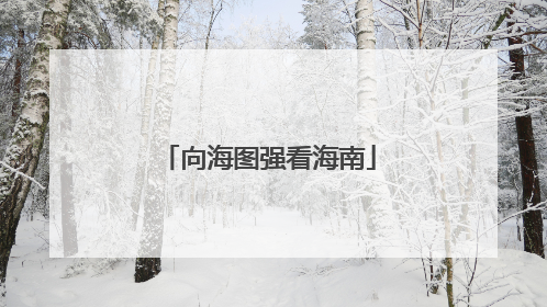向海图强看海南