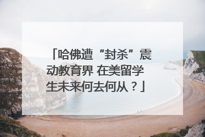 哈佛遭“封杀”震动教育界 在美留学生未来何去何从？