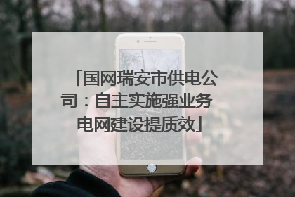 国网瑞安市供电公司：自主实施强业务 电网建设提质效