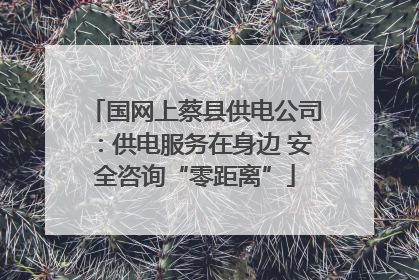 国网上蔡县供电公司：供电服务在身边 安全咨询“零距离”