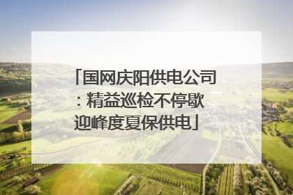 国网庆阳供电公司：精益巡检不停歇 迎峰度夏保供电