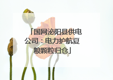 国网泌阳县供电公司：电力护航夏粮颗粒归仓