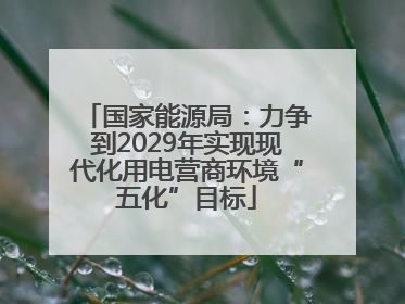 国家能源局：力争到2029年实现现代化用电营商环境“五化”目标