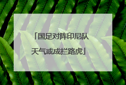 国足对阵印尼队 天气或成拦路虎