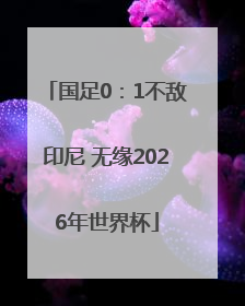 国足0：1不敌印尼 无缘2026年世界杯