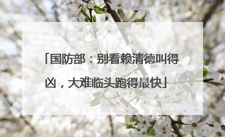 国防部：别看赖清德叫得凶，大难临头跑得最快