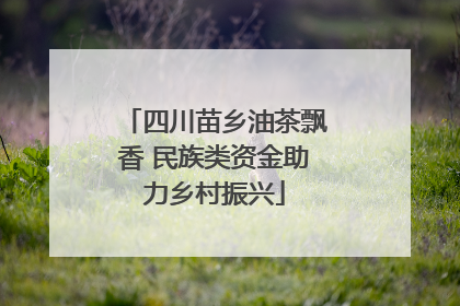 四川苗乡油茶飘香 民族类资金助力乡村振兴
