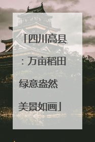 四川高县：万亩稻田绿意盎然 美景如画