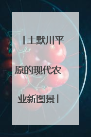 土默川平原的现代农业新图景