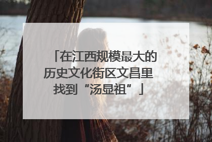 在江西规模最大的历史文化街区文昌里找到“汤显祖”