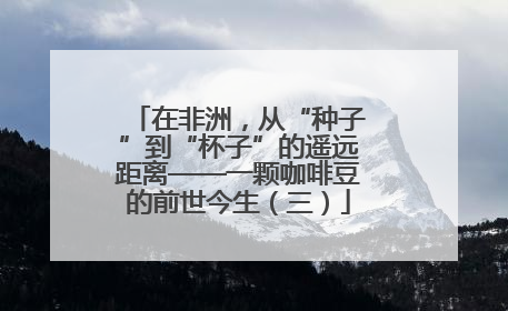 在非洲，从“种子”到“杯子”的遥远距离——一颗咖啡豆的前世今生（三）