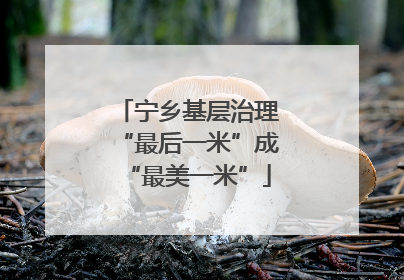 宁乡基层治理“最后一米”成“最美一米”