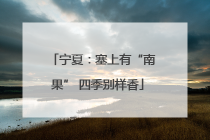 宁夏：塞上有“南果” 四季别样香