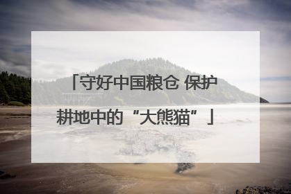 守好中国粮仓 保护耕地中的“大熊猫”