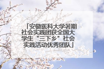 安徽医科大学暑期社会实践团获全国大学生“三下乡”社会实践活动优秀团队