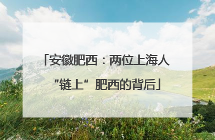安徽肥西：两位上海人“链上”肥西的背后
