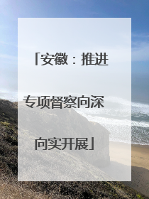 安徽：推进专项督察向深向实开展