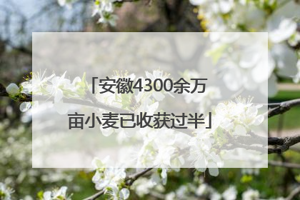 安徽4300余万亩小麦已收获过半