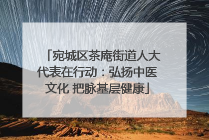宛城区茶庵街道人大代表在行动：弘扬中医文化 把脉基层健康