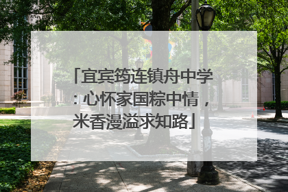 宜宾筠连镇舟中学：心怀家国粽中情，米香漫溢求知路