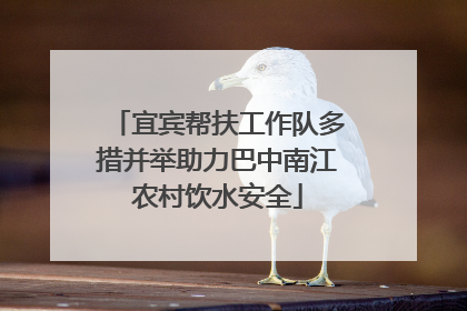 宜宾帮扶工作队多措并举助力巴中南江农村饮水安全