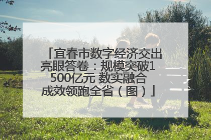宜春市数字经济交出亮眼答卷：规模突破1500亿元 数实融合成效领跑全省（图）