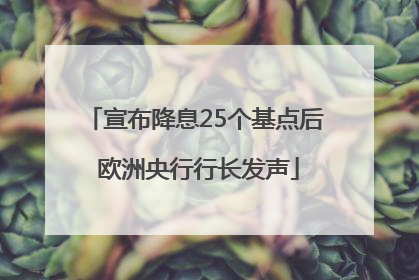 宣布降息25个基点后 欧洲央行行长发声
