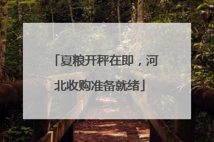 夏粮开秤在即，河北收购准备就绪