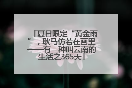 夏日限定“黄金雨”，耿马仿若在画里——有一种叫云南的生活之365天