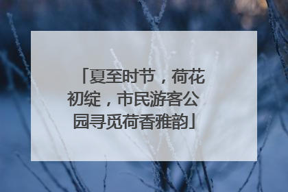 夏至时节，荷花初绽，市民游客公园寻觅荷香雅韵